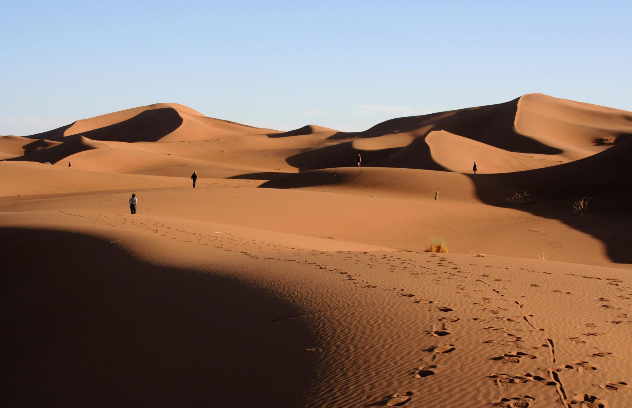 Woestijnwandelreis Marokko (Maurice)