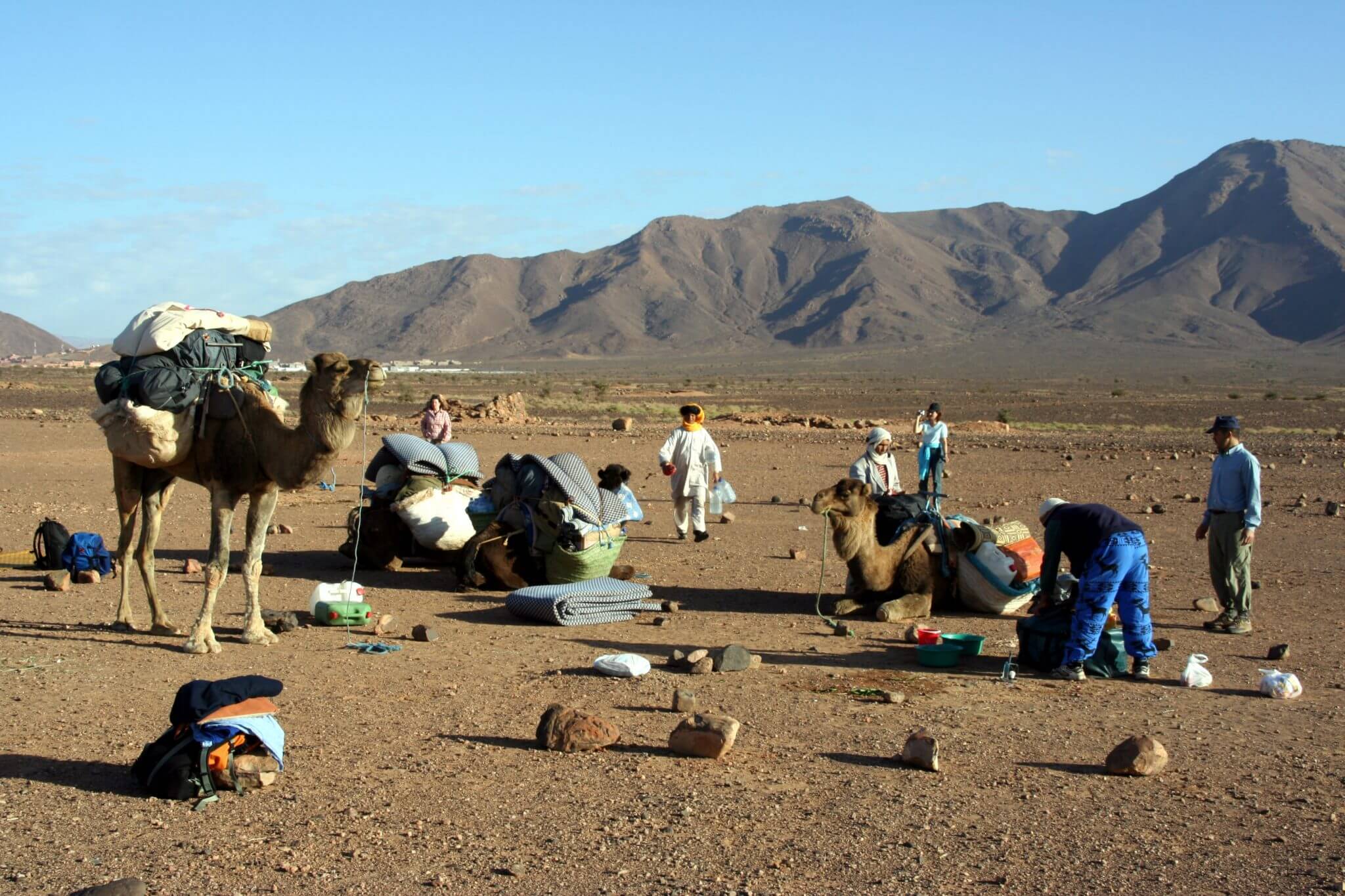 Sahara, Sandra (2018)